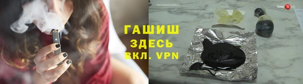 прущие грибы Новозыбков
