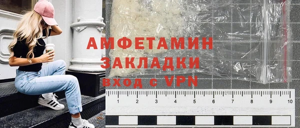 прущие грибы Новозыбков