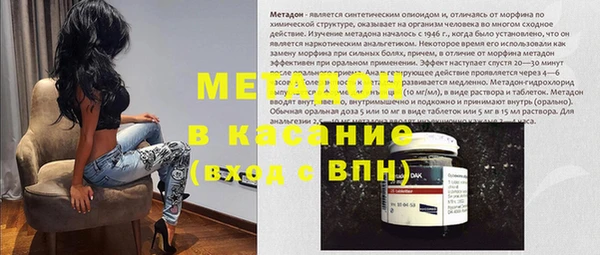 прущие грибы Новозыбков