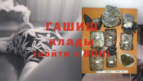 прущие грибы Новозыбков