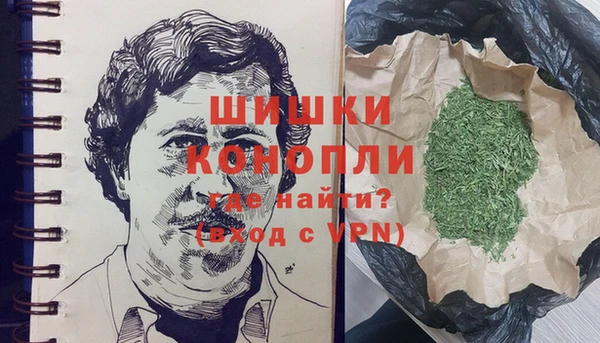 прущие грибы Новозыбков