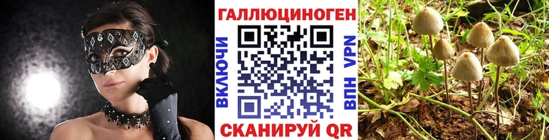 ссылка на мегу как зайти  магазин  наркотиков  Фокино  Галлюциногенные грибы мухоморы 